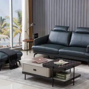 Elegant Modern Sofa and Coffee Table Set